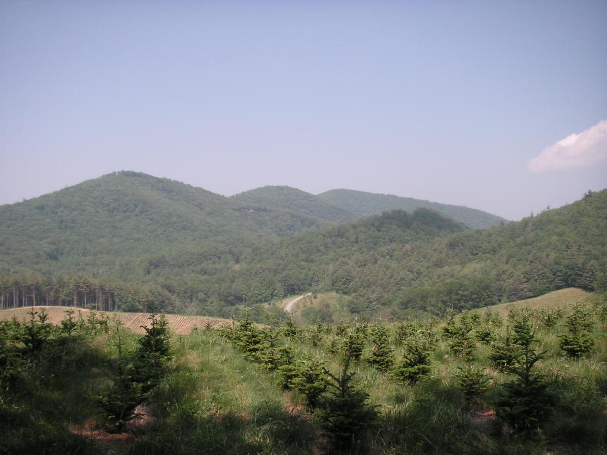 Arrowmont Stables & Cabins Cullowhee Екстер'єр фото