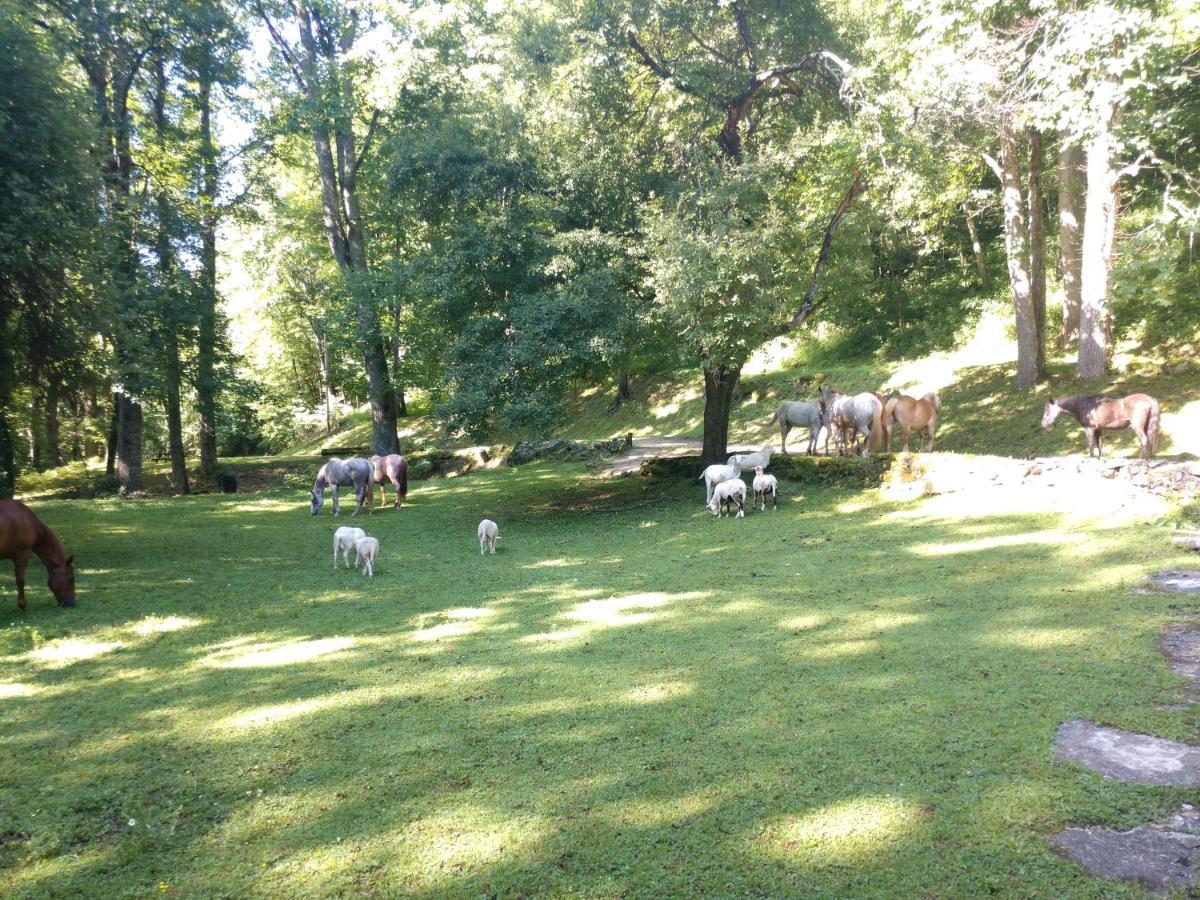 Arrowmont Stables & Cabins Cullowhee Екстер'єр фото