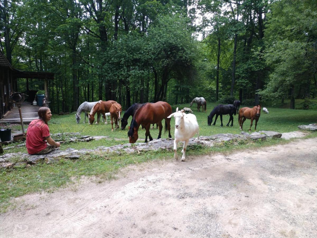 Arrowmont Stables & Cabins Cullowhee Екстер'єр фото