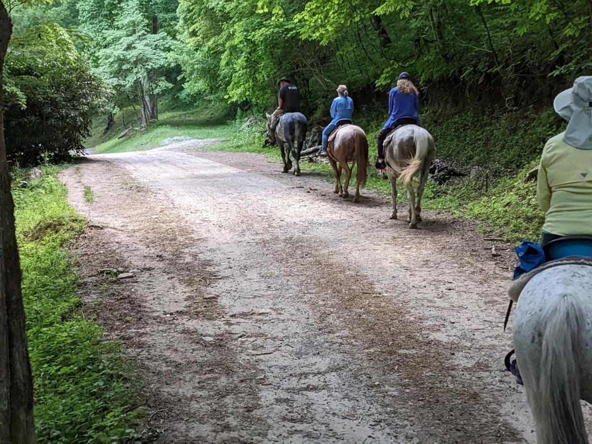Arrowmont Stables & Cabins Cullowhee Екстер'єр фото