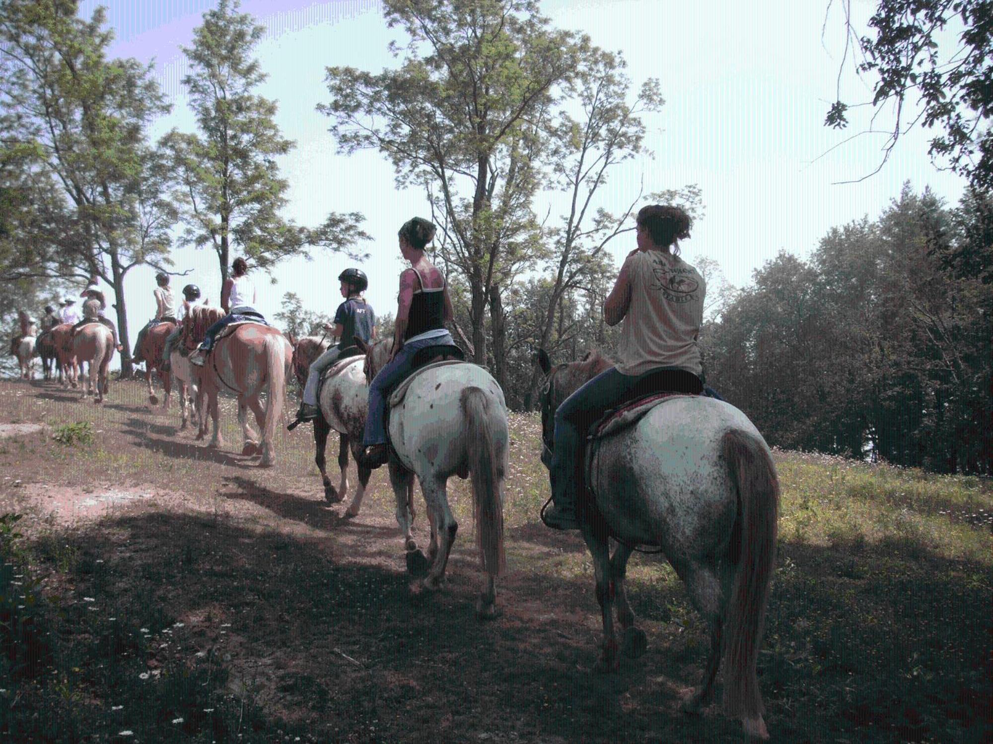 Arrowmont Stables & Cabins Cullowhee Екстер'єр фото
