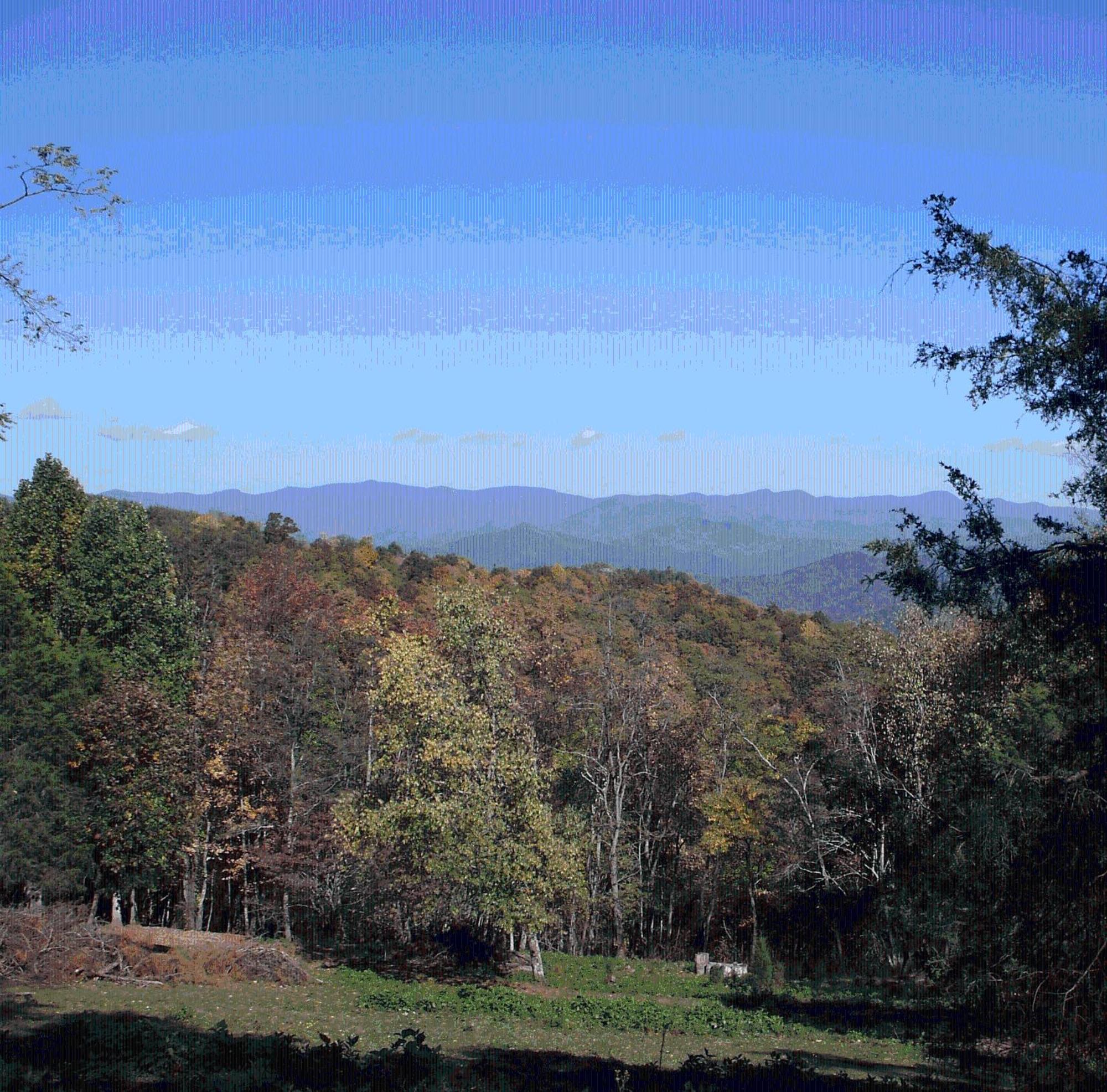 Arrowmont Stables & Cabins Cullowhee Екстер'єр фото