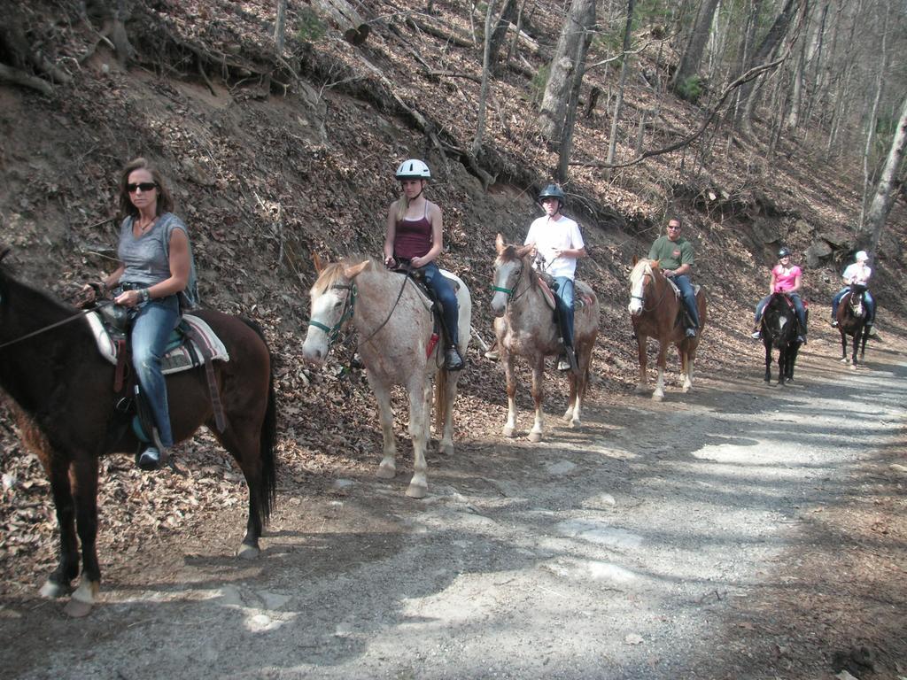 Arrowmont Stables & Cabins Cullowhee Екстер'єр фото
