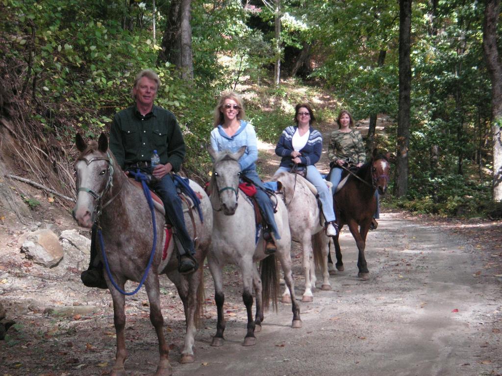 Arrowmont Stables & Cabins Cullowhee Екстер'єр фото