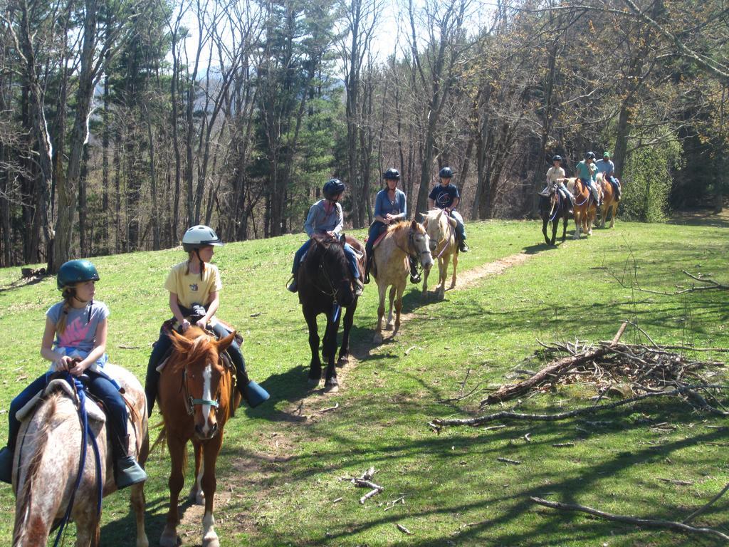 Arrowmont Stables & Cabins Cullowhee Екстер'єр фото