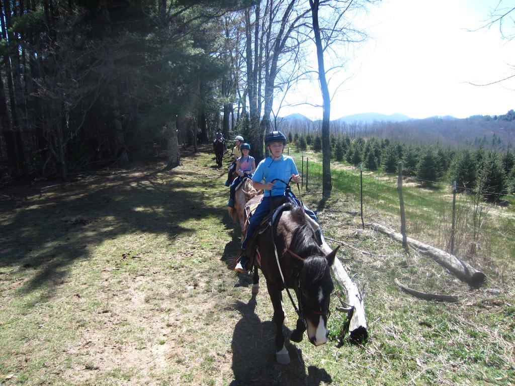 Arrowmont Stables & Cabins Cullowhee Екстер'єр фото