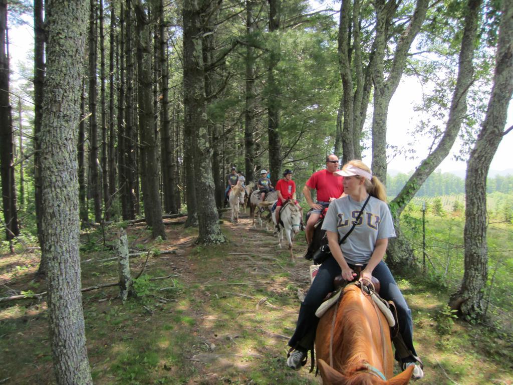 Arrowmont Stables & Cabins Cullowhee Екстер'єр фото