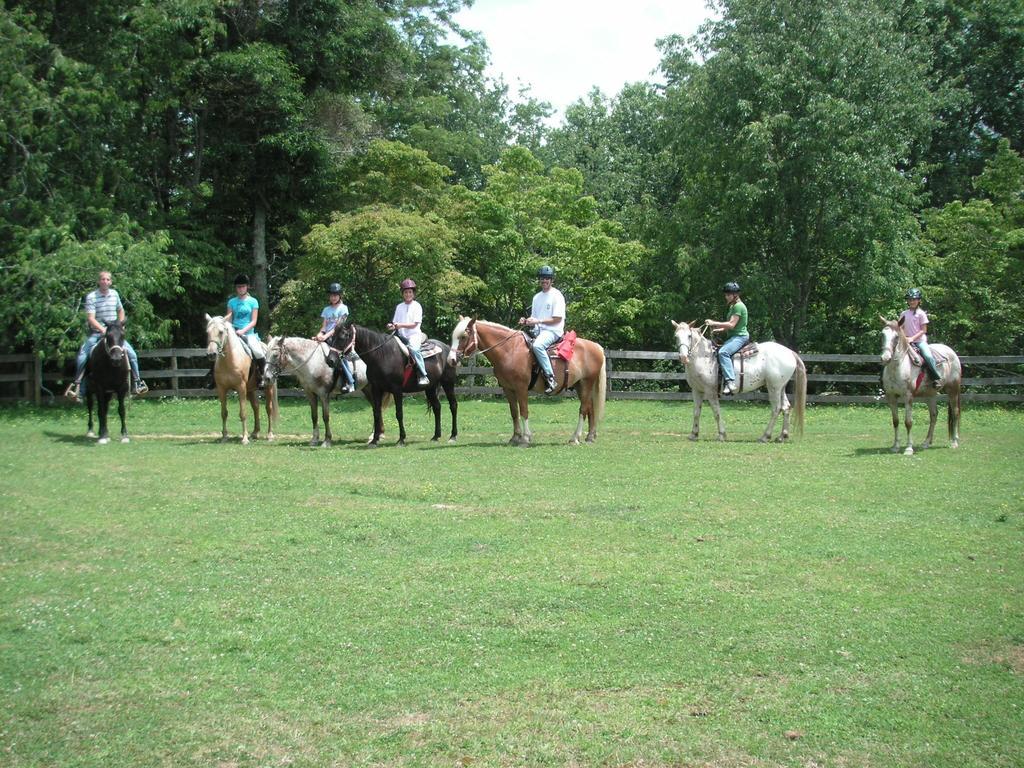 Arrowmont Stables & Cabins Cullowhee Екстер'єр фото